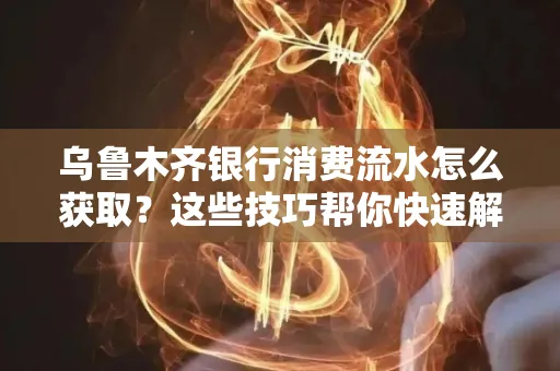 乌鲁木齐银行消费流水怎么获取？这些技巧帮你快速解决
